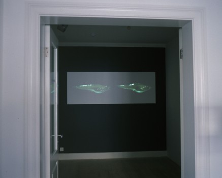 from-the-exhibition