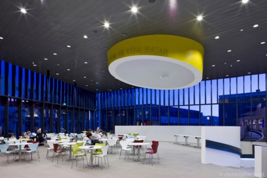 The University of Iceland